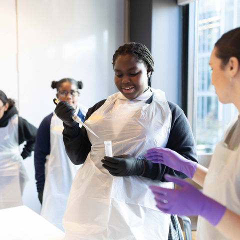 BioQuest Program Completes First Year Bringing Hands-On Science, STEM Mentoring to South Bronx Students