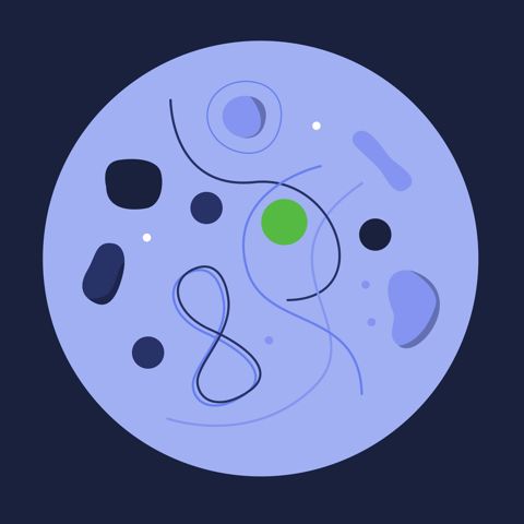 Revolutionizing RNA Therapeutics with Avidity Biosciences